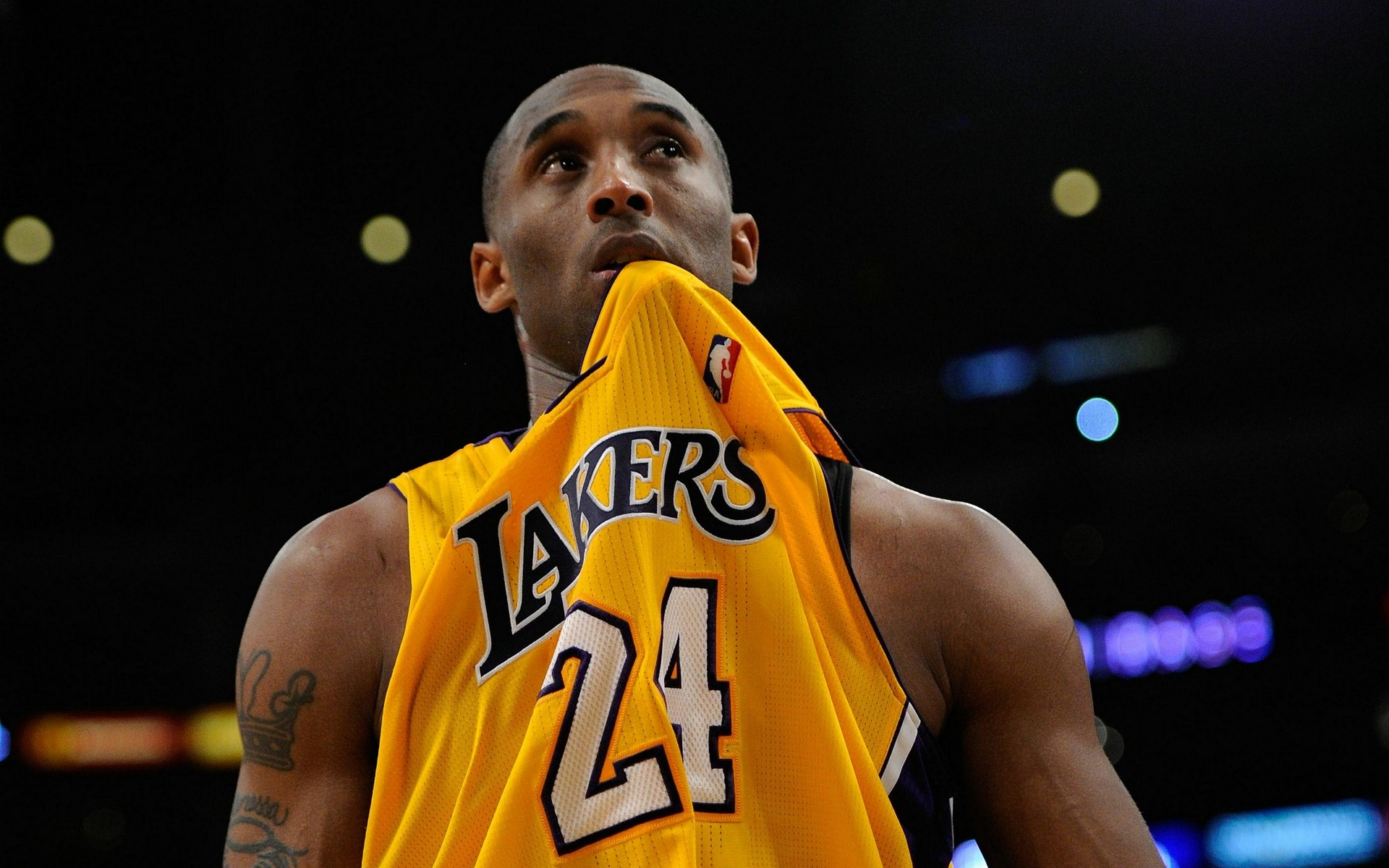 组委会还特 组委会还特