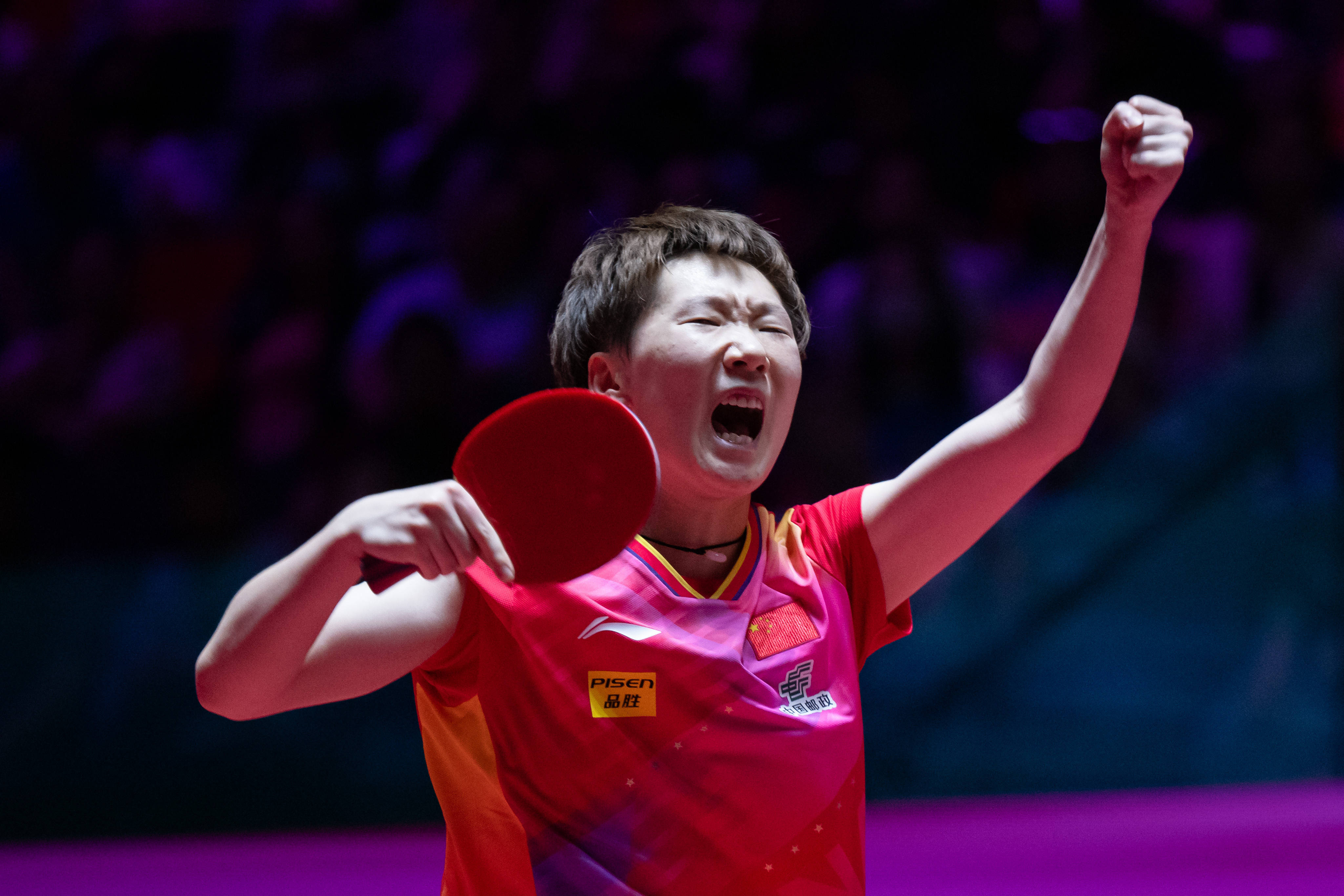 的新面孔 的新面孔